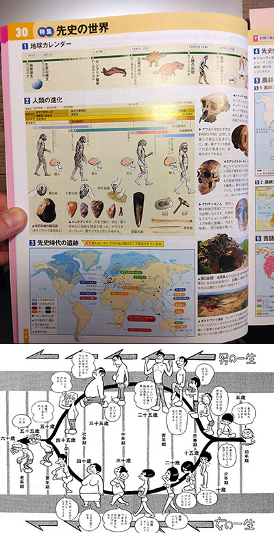 ��ˎ������j�̈ꐶ�@���̈ꐶ���N�\�@���z���E�T�s�G���X�̎�����