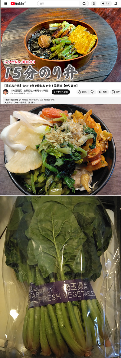 �}������̂P�T���̂�ف@���Ɛ����]�蕨����